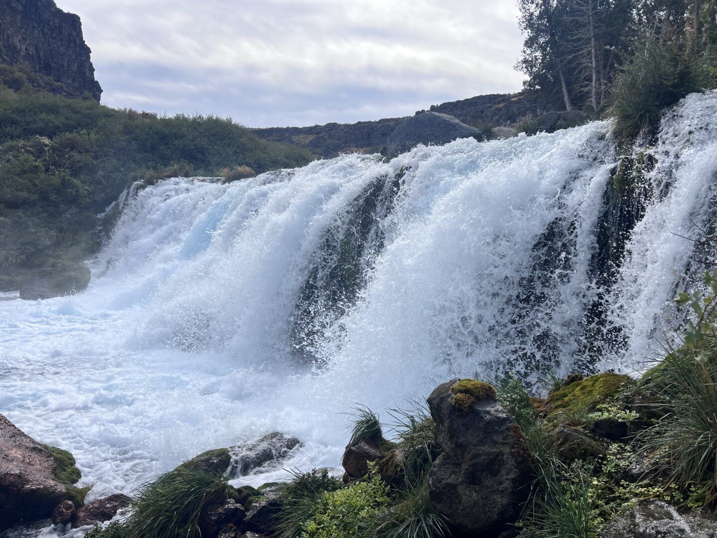 Discover the Beauty of Box Canyon Springs Near Twin Falls, Idaho